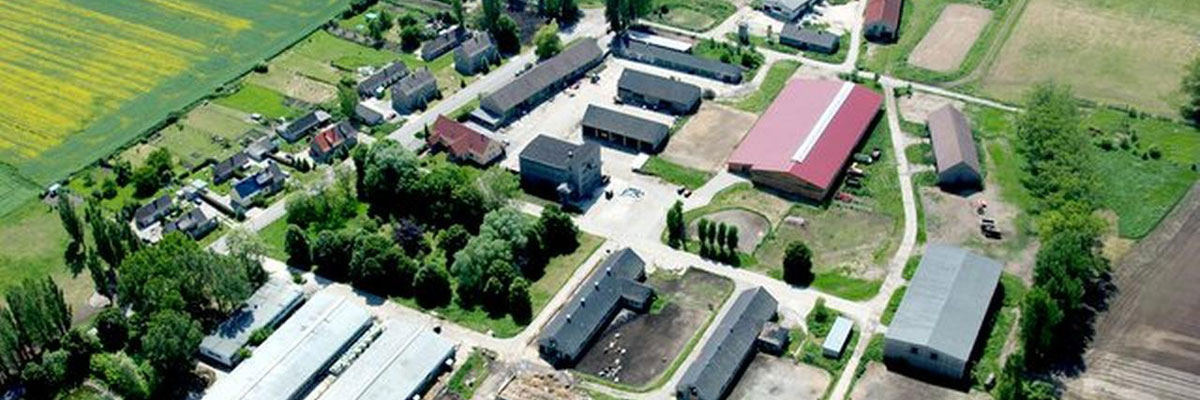 Geiseltalhof